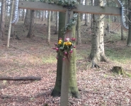 Krzyż w lesie Oderne