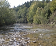 Wisłok River